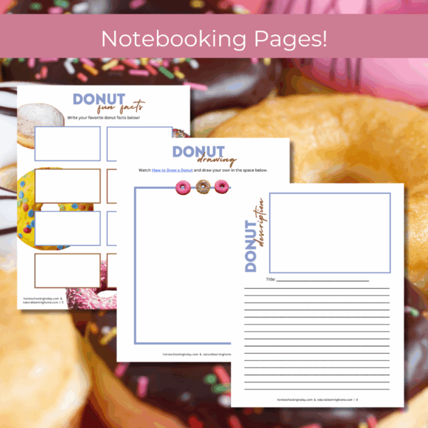 Discover & Do: Donuts - Image 3